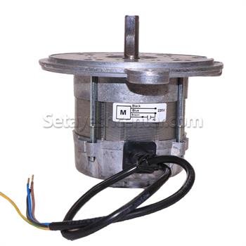 دینام مشعل موتور خانه 3_1  آذربان  125وات 